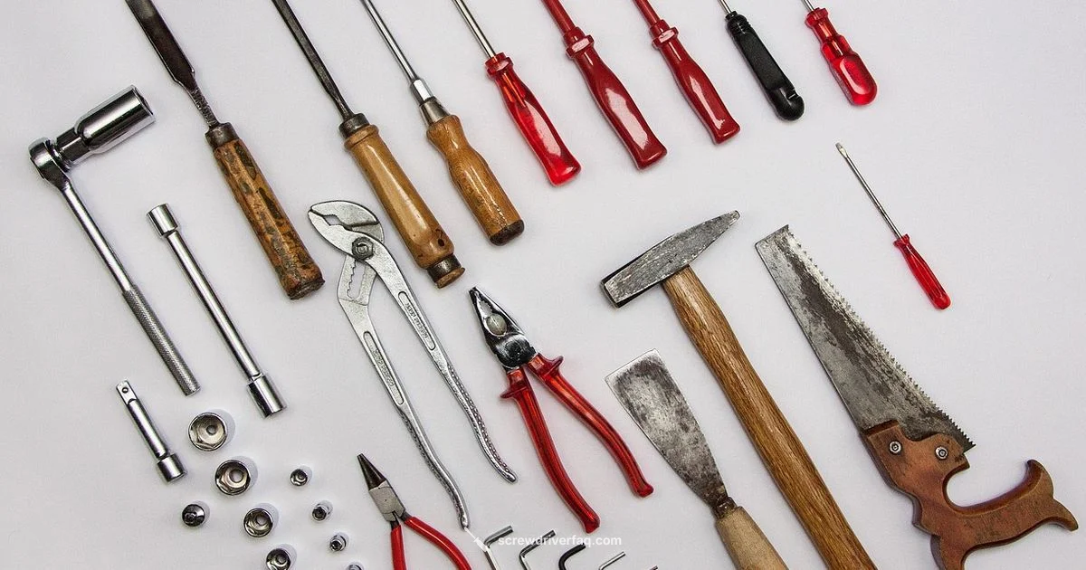 Screwdriver Basics Screwdriver Basics - Screwdriver FAQ