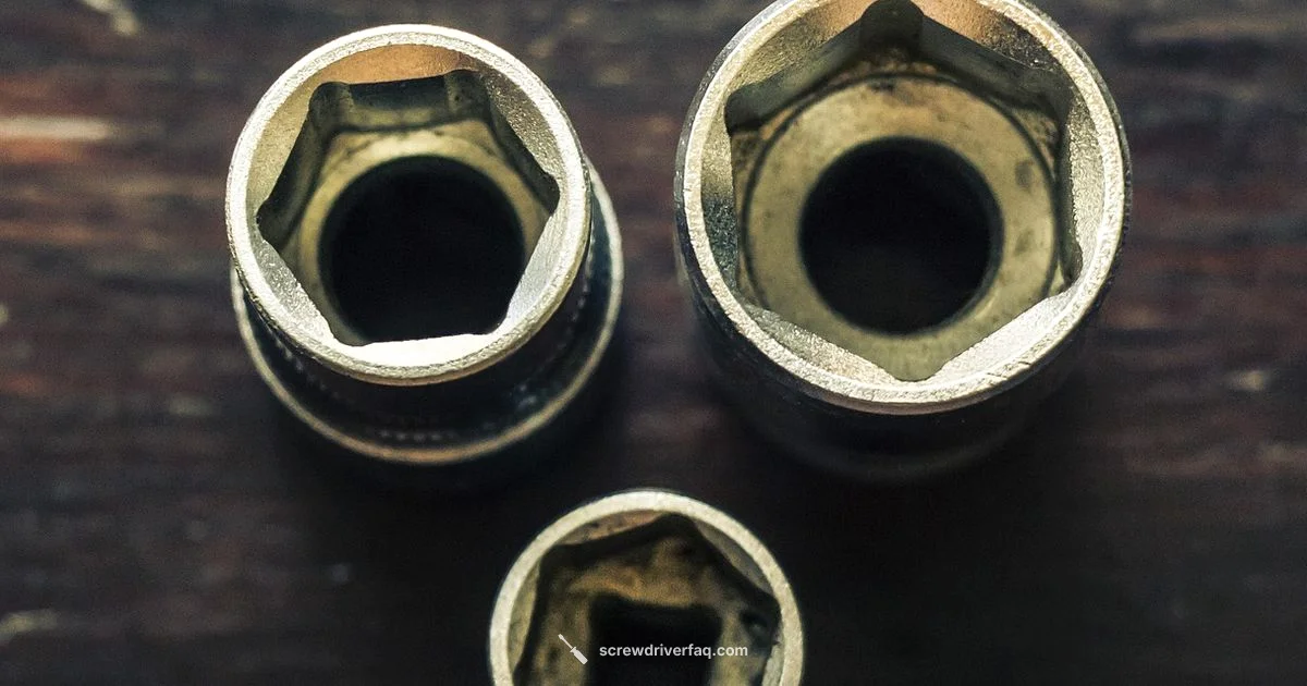 Screwdriver Essentials Guide - Screwdriver FAQ
