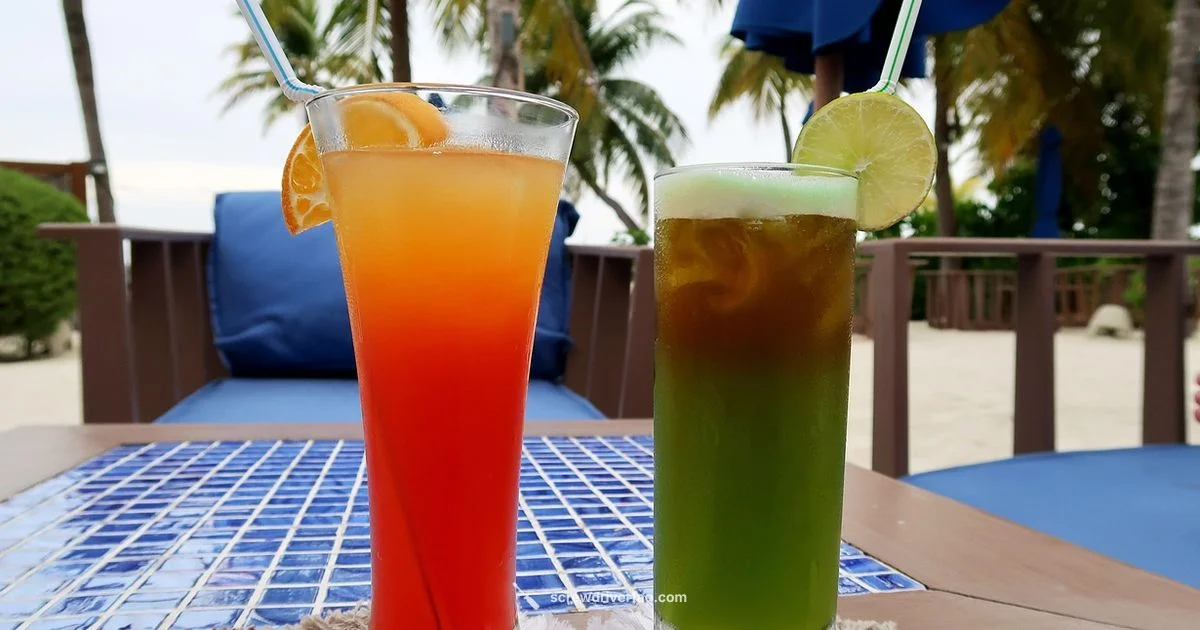Vodka Orange vs Screwdriver - Screwdriver FAQ