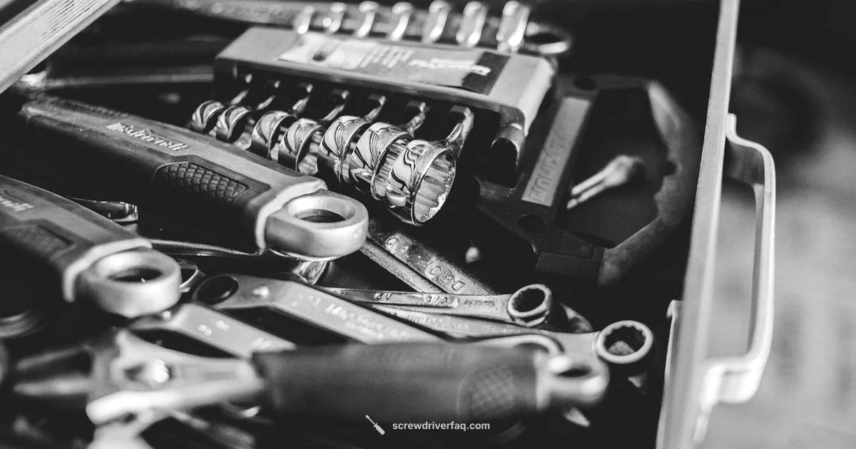 Quarter Inch Bit Driver - Screwdriver FAQ