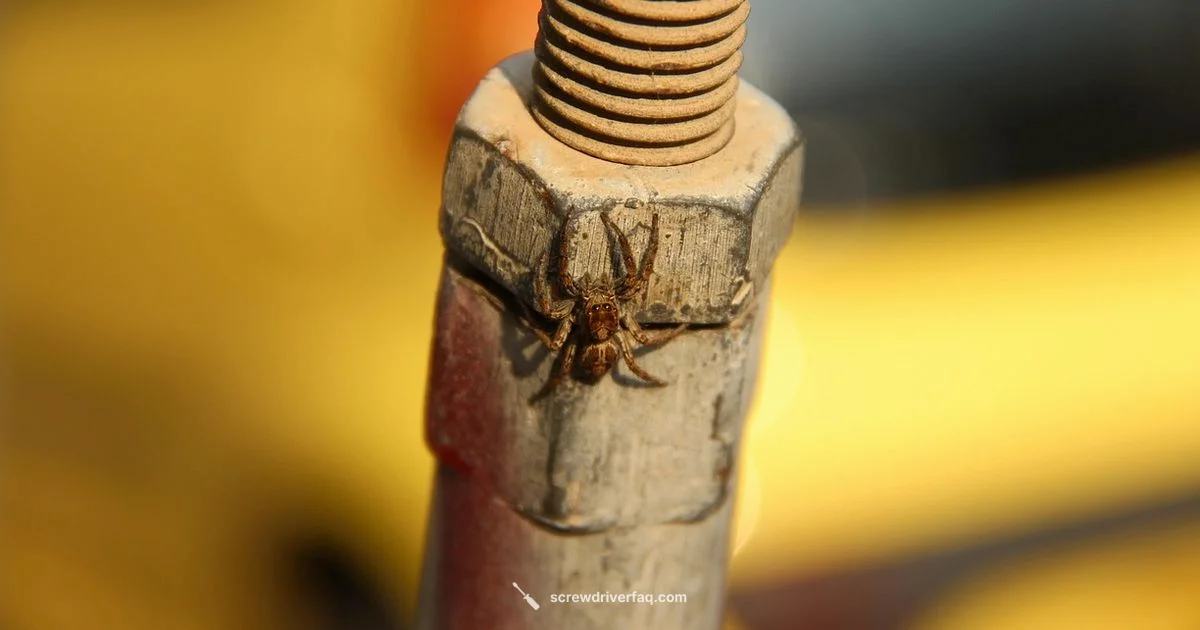Stubborn Screw Fix - Screwdriver FAQ