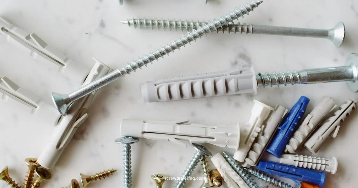 Special Edition Review Special Edition Review - Screwdriver FAQ