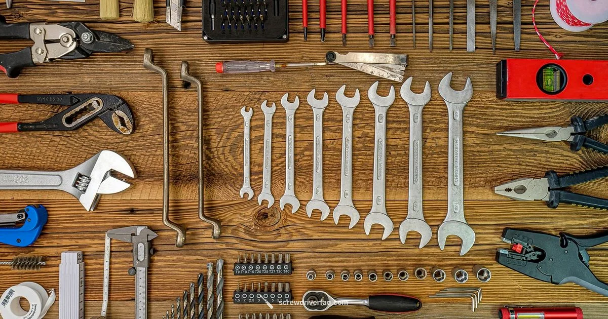 Screwdriver Variety - Screwdriver FAQ