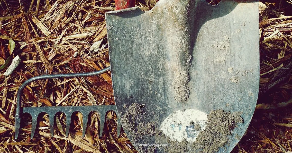 Ratchet Screwdriver Guide Ratchet Screwdriver Guide - Screwdriver FAQ