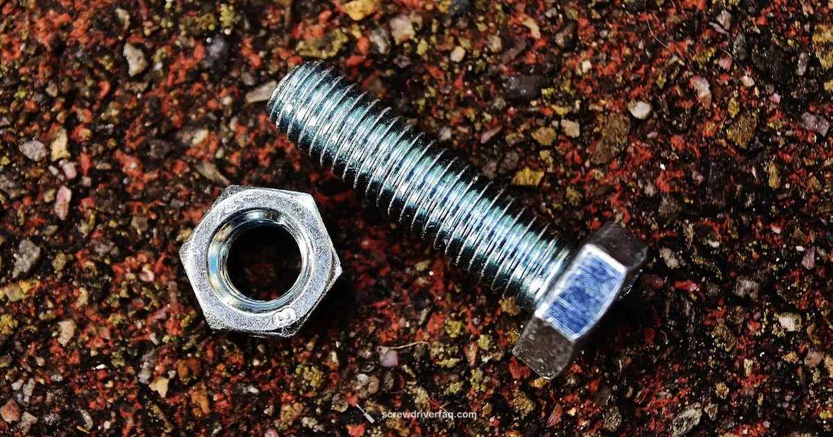 Hex Head Guide Hex Head Guide - Screwdriver FAQ