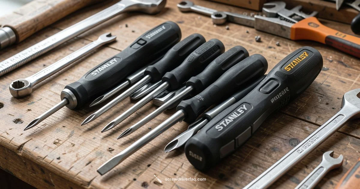 Stanley 34-Piece Review - Screwdriver FAQ