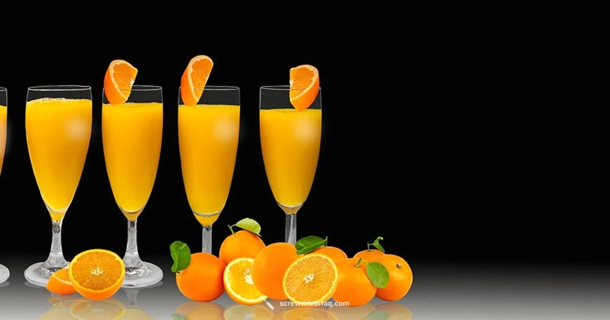 Screwdriver Drink Guide - Screwdriver FAQ