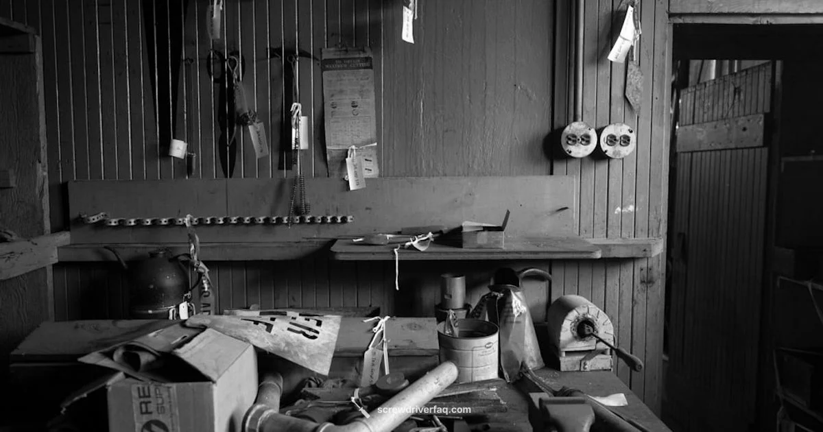 Precision Set Overview Precision Set Overview - Screwdriver FAQ