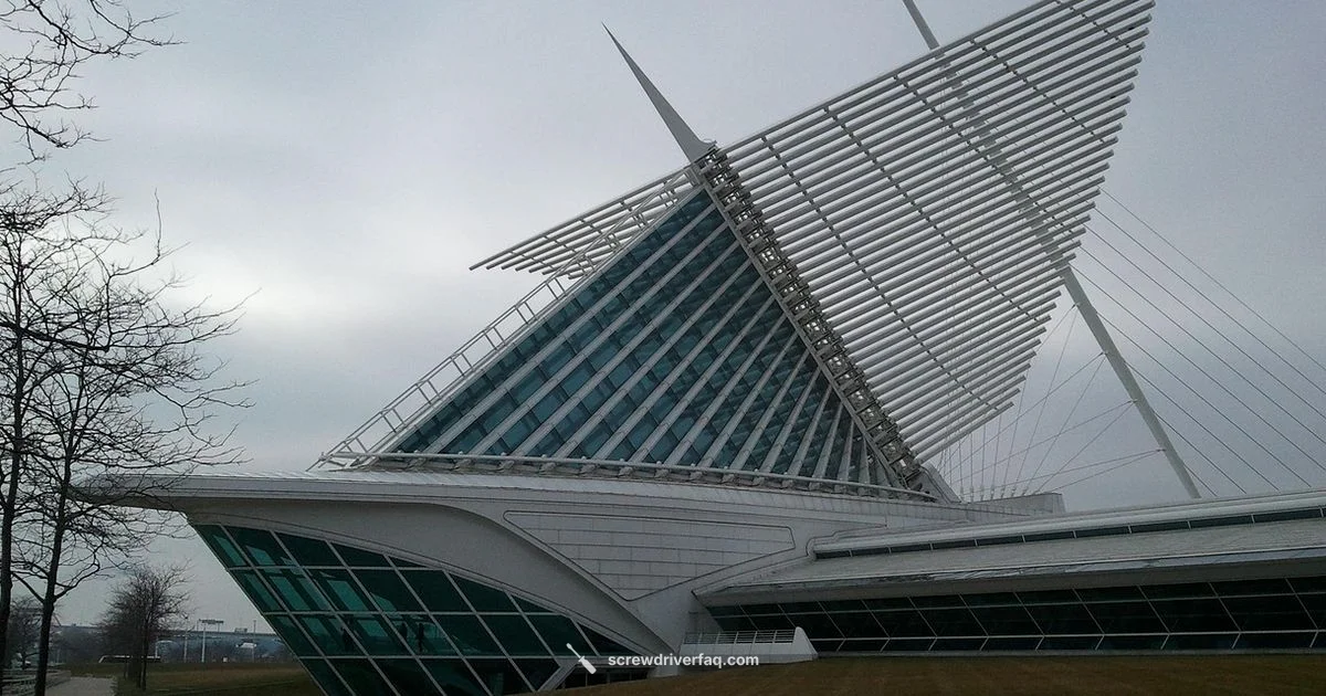 Milwaukee Gun Screwdriver - Screwdriver FAQ