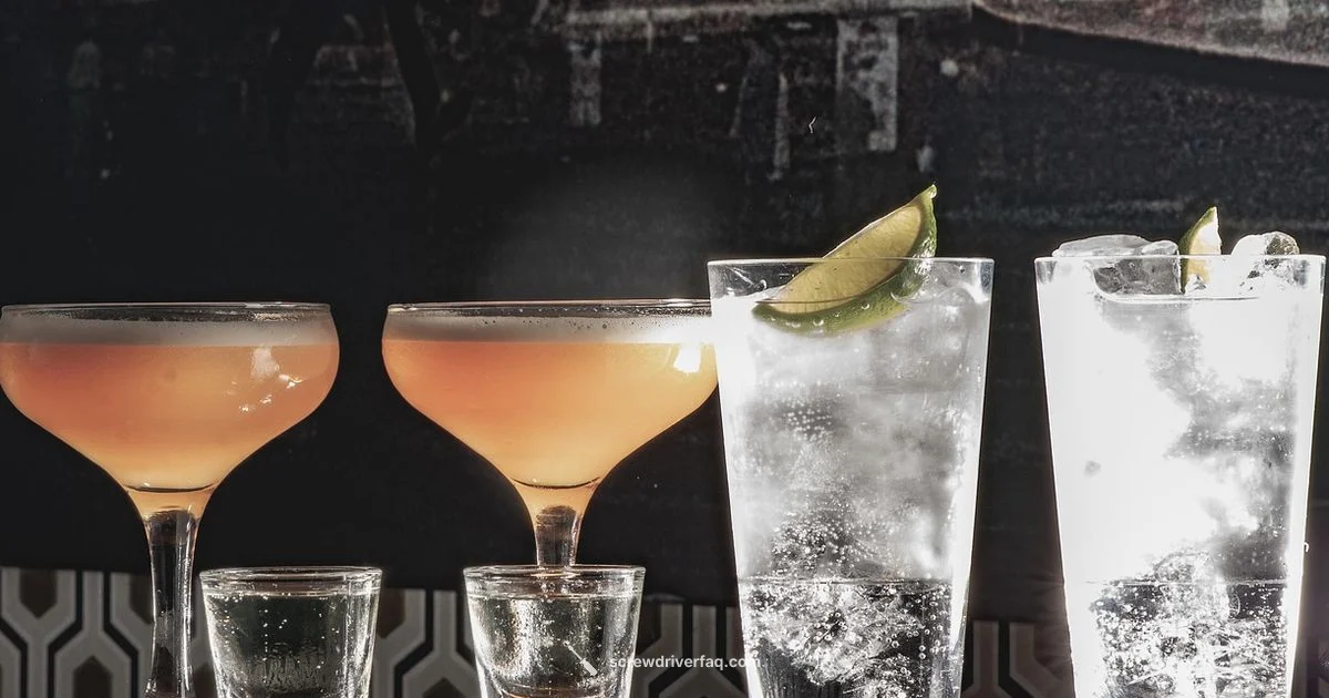 Screwdriver Vodka Basics - Screwdriver FAQ