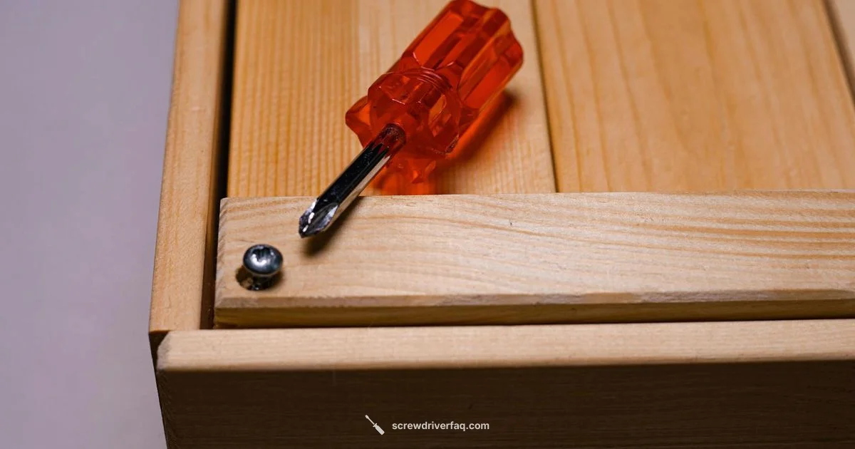 Tool vs Soda Tool vs Soda - Screwdriver FAQ