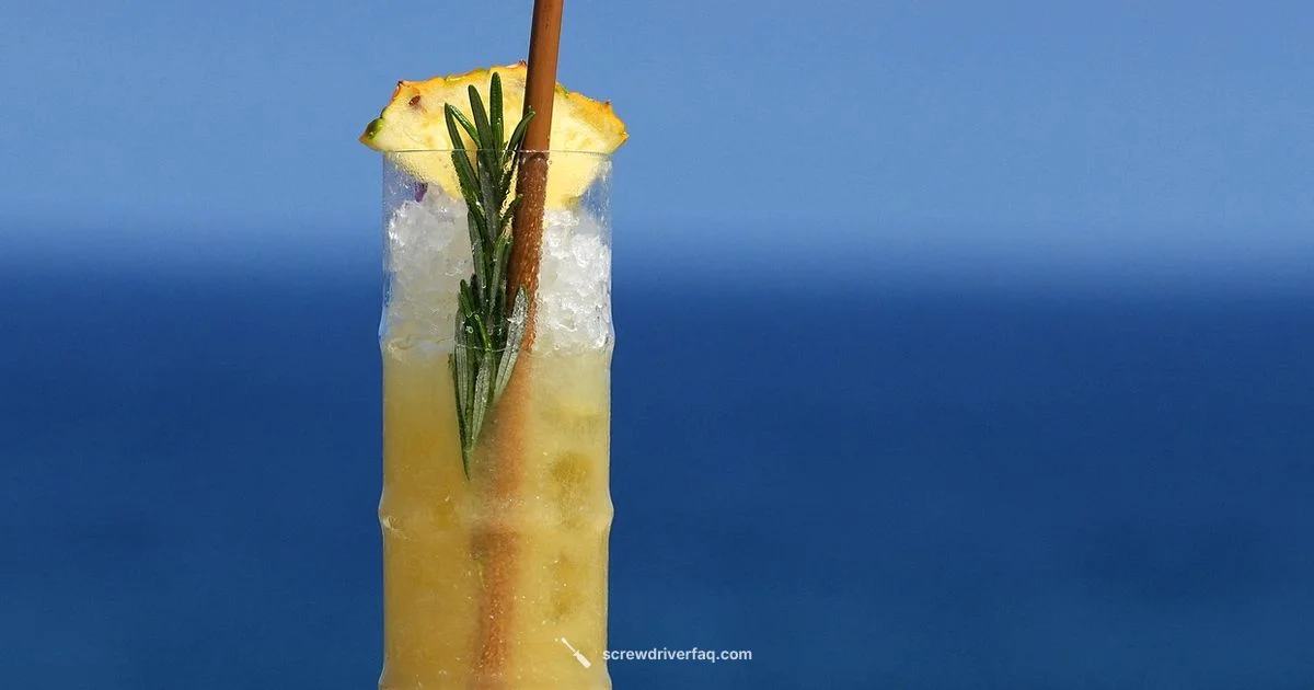 Citrus Vodka Mix - Screwdriver FAQ