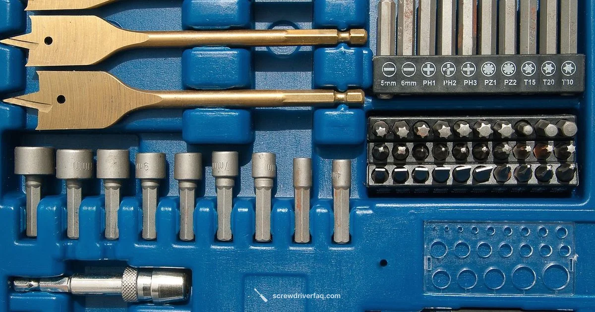 Screwdriver Drill Guide Screwdriver Drill Guide - Screwdriver FAQ