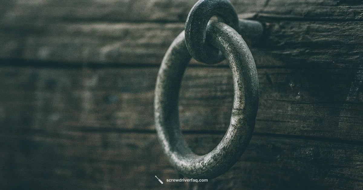 Magnetic Ring Guide - Screwdriver FAQ