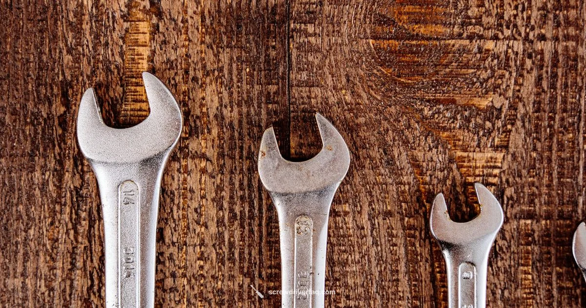 ssdmr4b Guide - Screwdriver FAQ