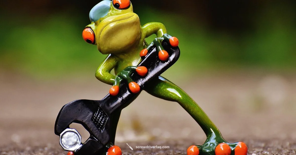 Robertson Screwdriver Guide - Screwdriver FAQ