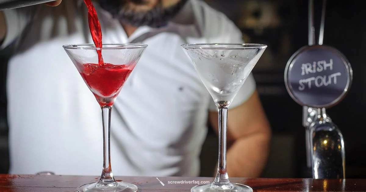 Classic Screwdriver - Screwdriver FAQ