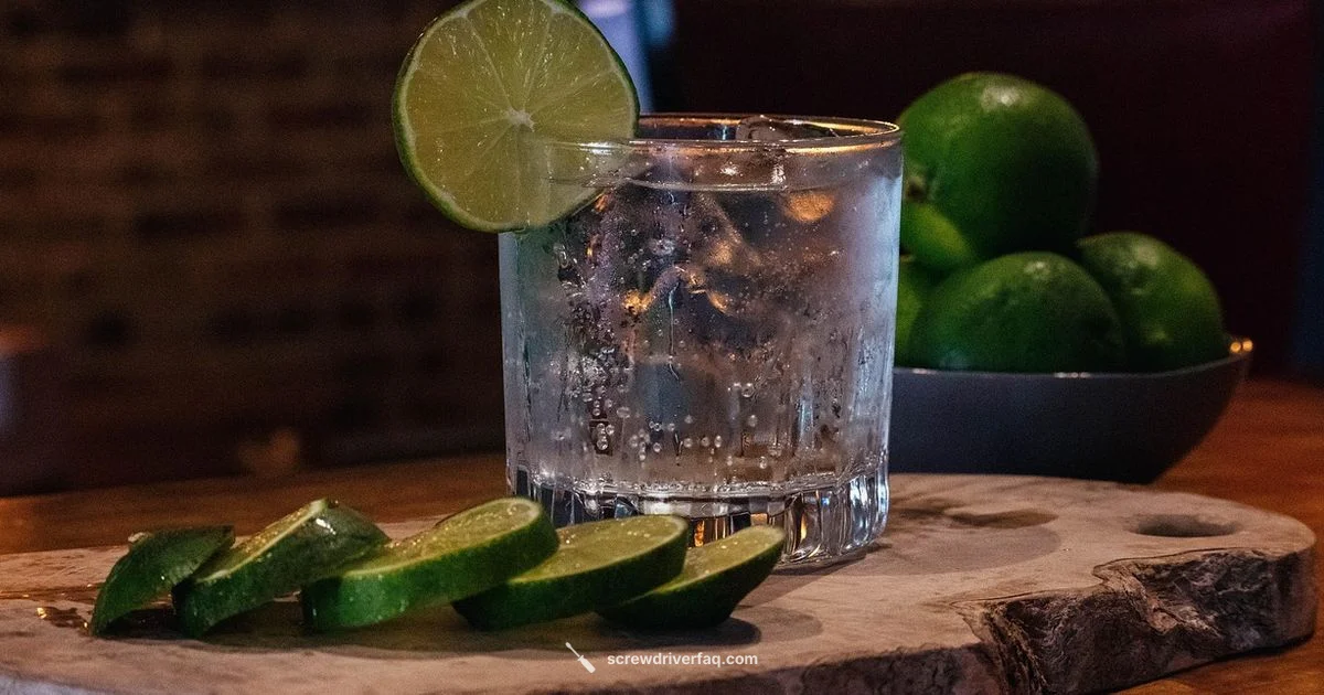 Gin vs Screwdriver - Screwdriver FAQ