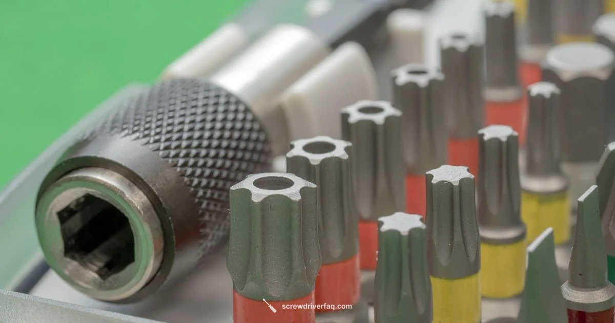 Best Screwdriver Set - Screwdriver FAQ