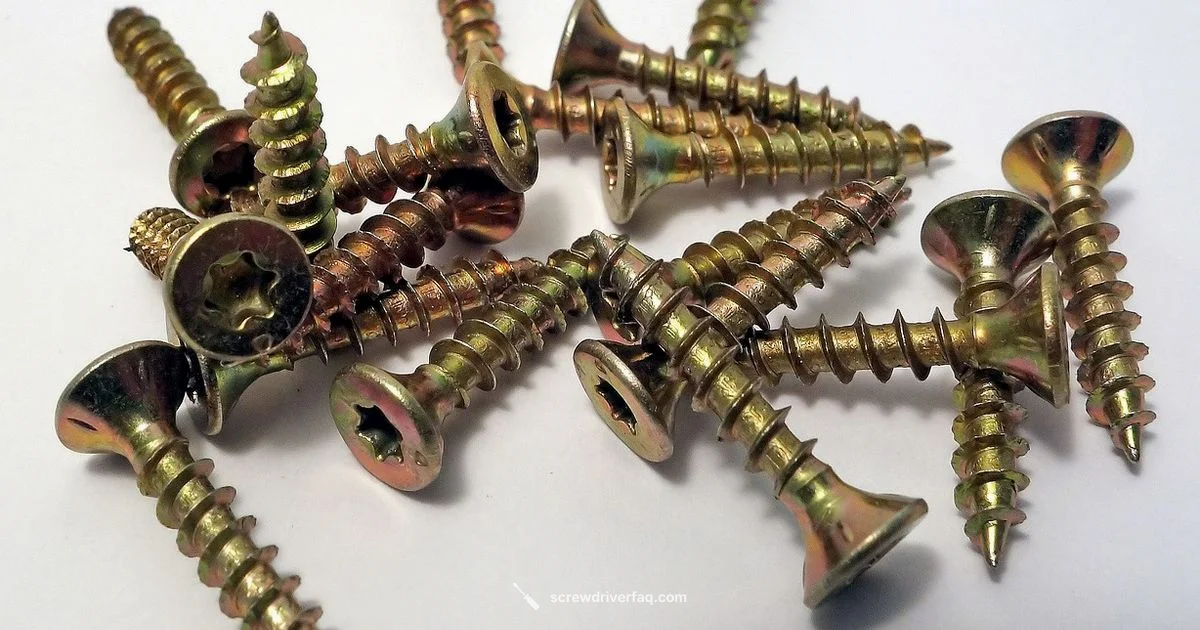 Star Tip Tool - Screwdriver FAQ