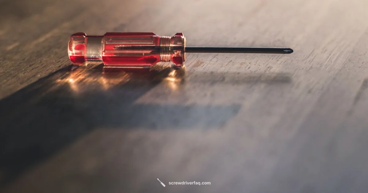 Screwdriver Safety & Law Screwdriver Safety & Law - Screwdriver FAQ