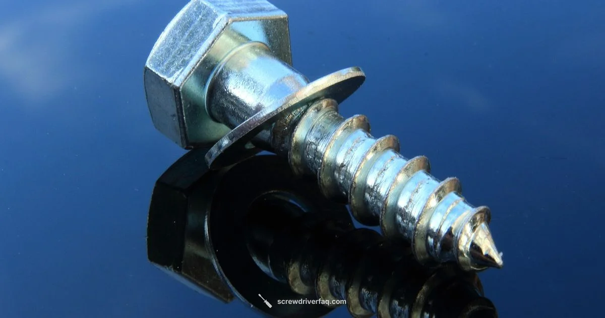 Screw-on-Bit Hold - Screwdriver FAQ