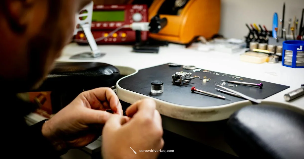 Green Screwdriver Essentials Green Screwdriver Essentials - Screwdriver FAQ