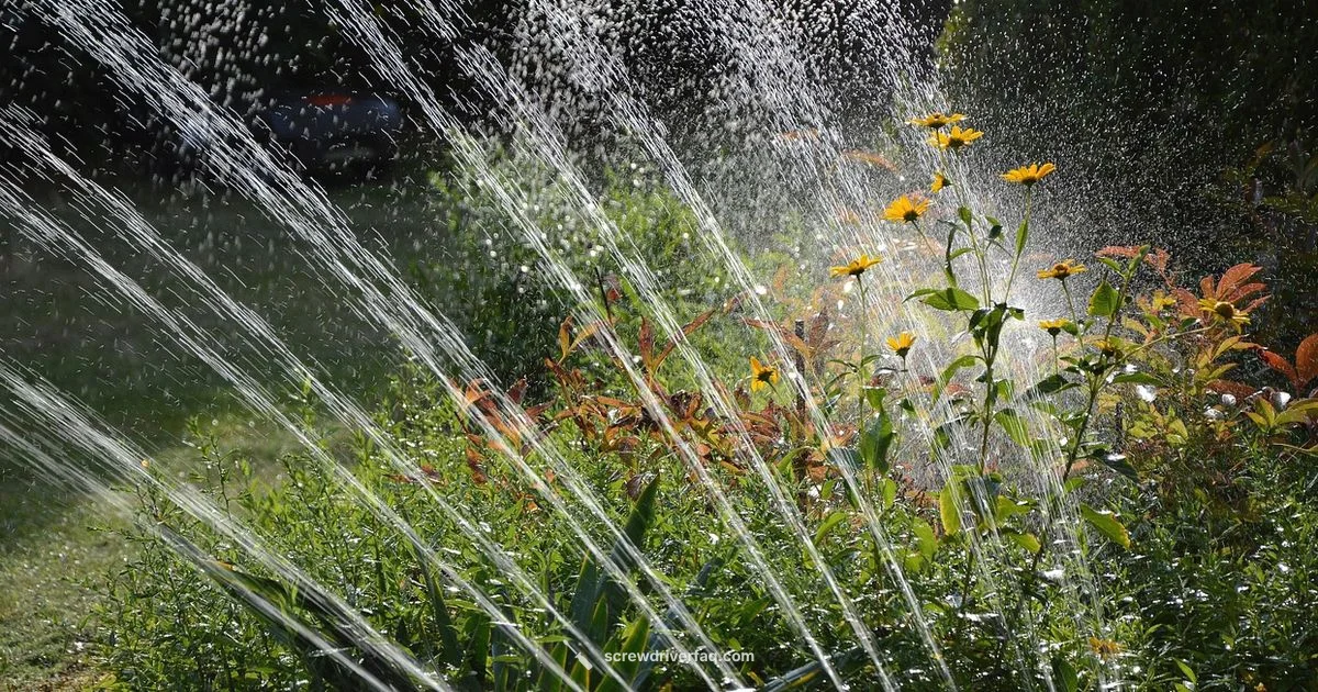 Screwdriver Watering Test - Screwdriver FAQ