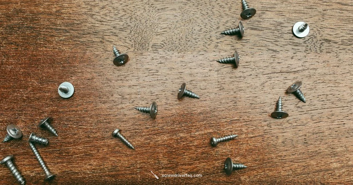 Six in One Tool - Screwdriver FAQ