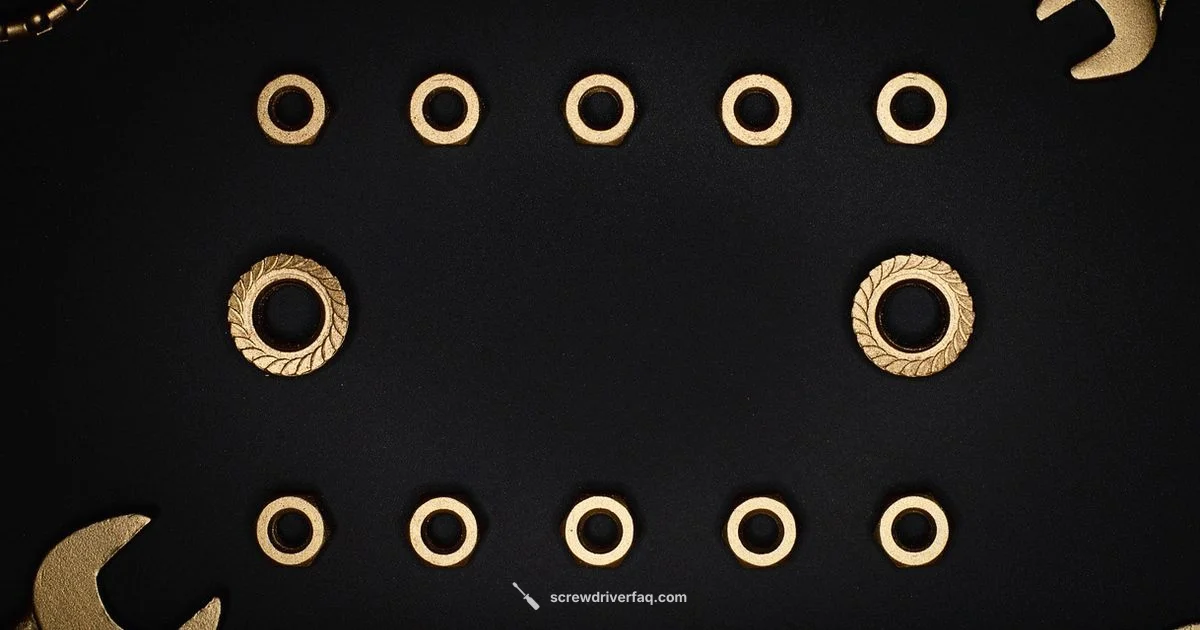 Screw Bits Essentials Screw Bits Essentials - Screwdriver FAQ