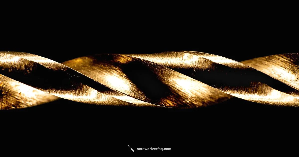 Bits in a Drill - Screwdriver FAQ