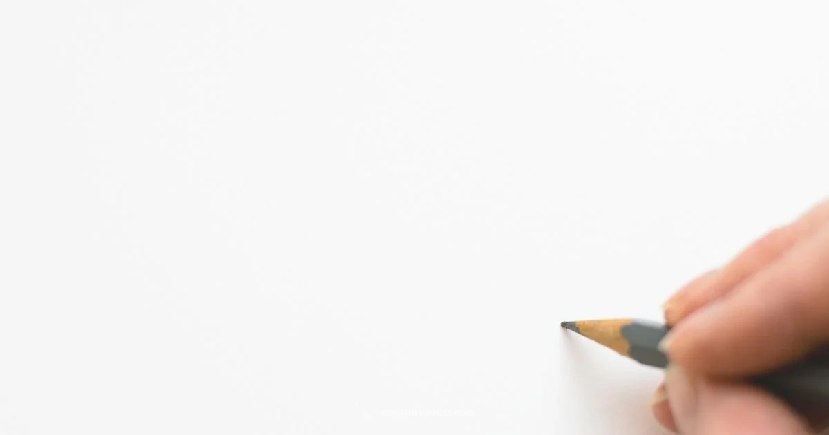 Screwdriver Drawing - Screwdriver FAQ