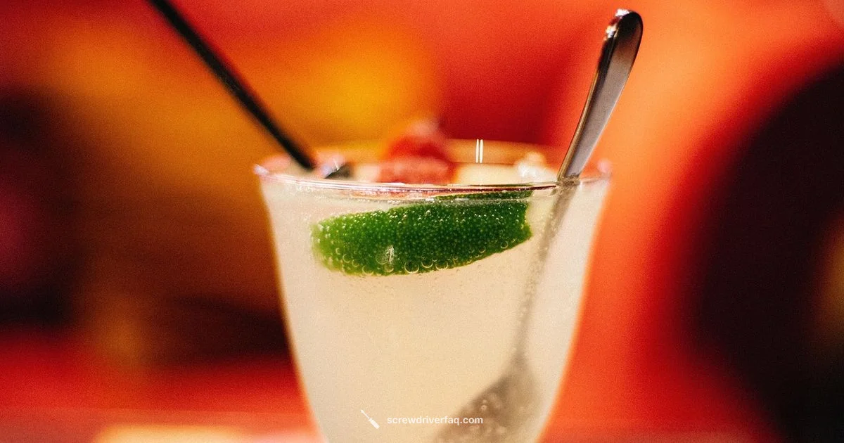 Classic Screwdriver Guide - Screwdriver FAQ