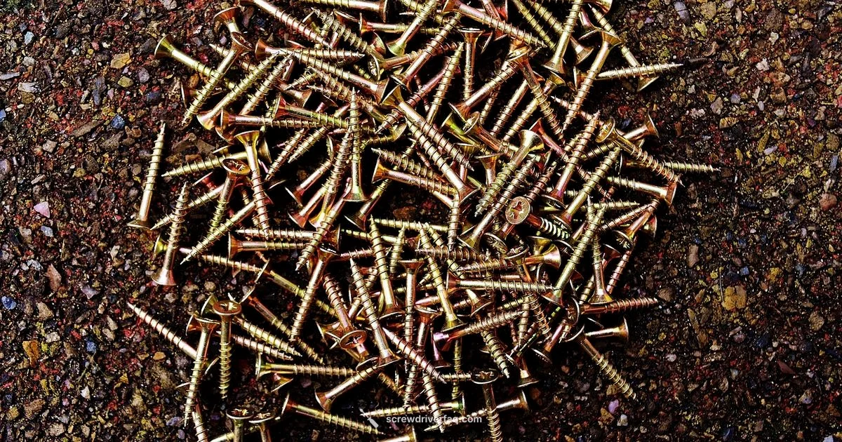 Triangle Screw Essentials Triangle Screw Essentials - Screwdriver FAQ