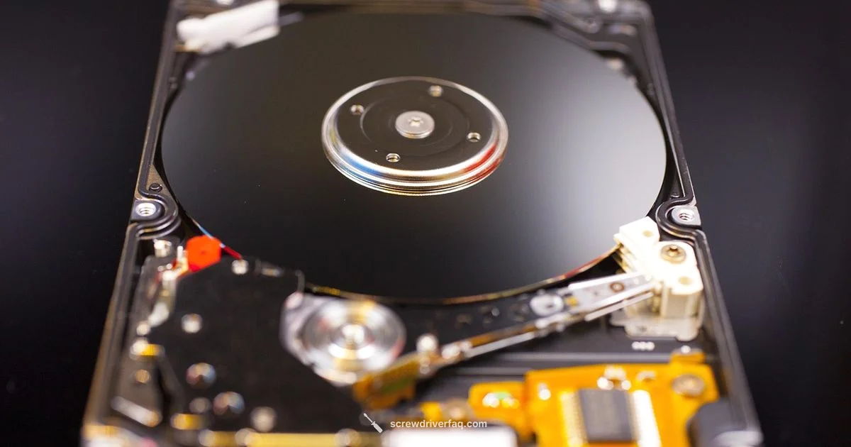 3DS XL Screw Size Guide 3DS XL Screw Size Guide - Screwdriver FAQ