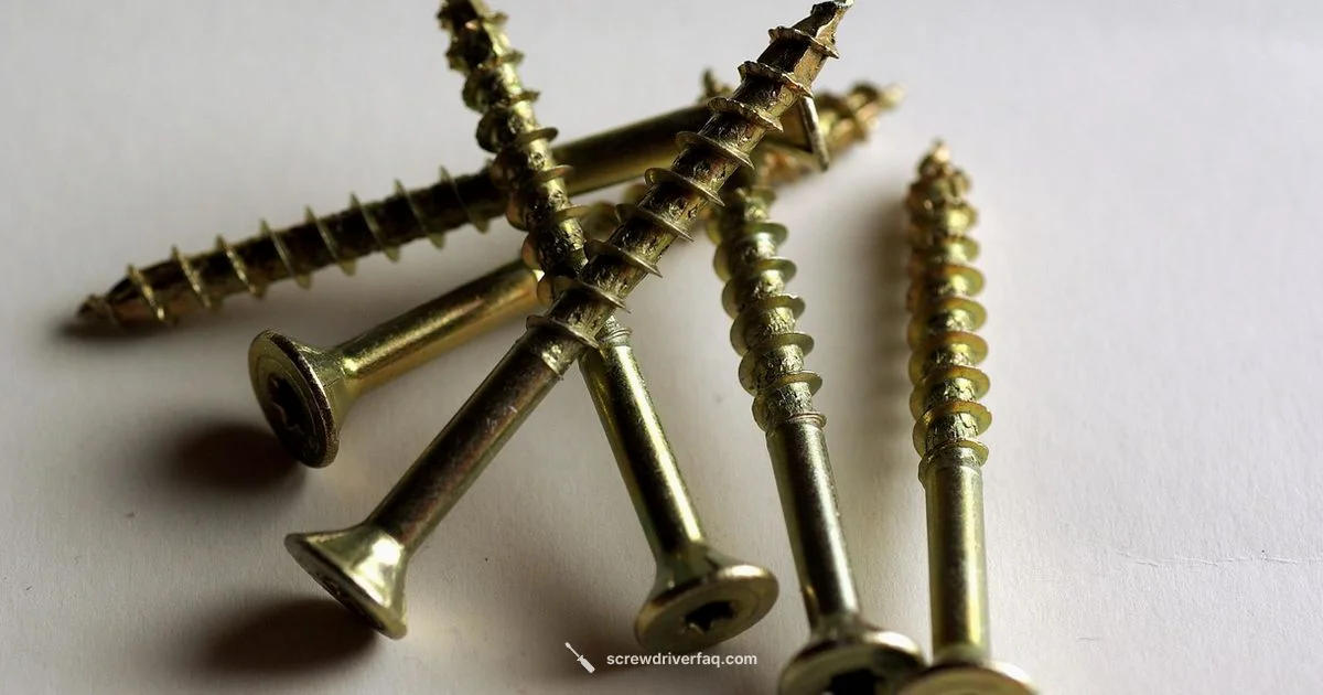 T8 Screw Fix T8 Screw Fix - Screwdriver FAQ