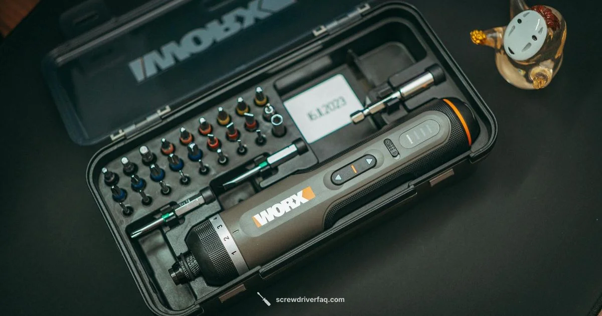 Tiny Screwdriver Substitutes Tiny Screwdriver Substitutes - Screwdriver FAQ