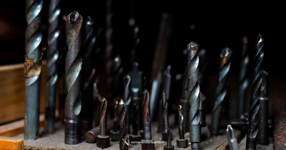 DeWalt Bits Essentials - Screwdriver FAQ