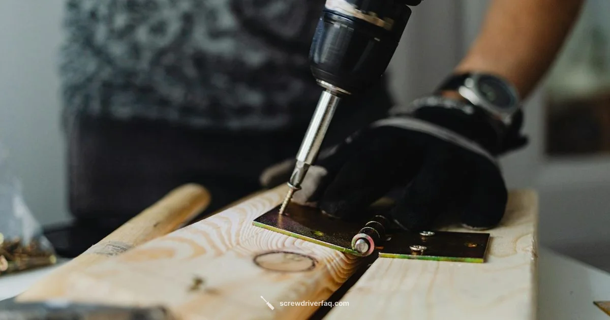 Cordless Skil Mastery - Screwdriver FAQ