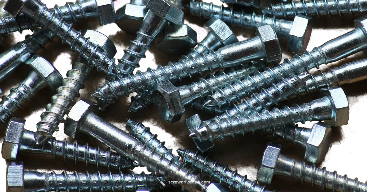 Find a Screwdriver Nearby Find a Screwdriver Nearby - Screwdriver FAQ