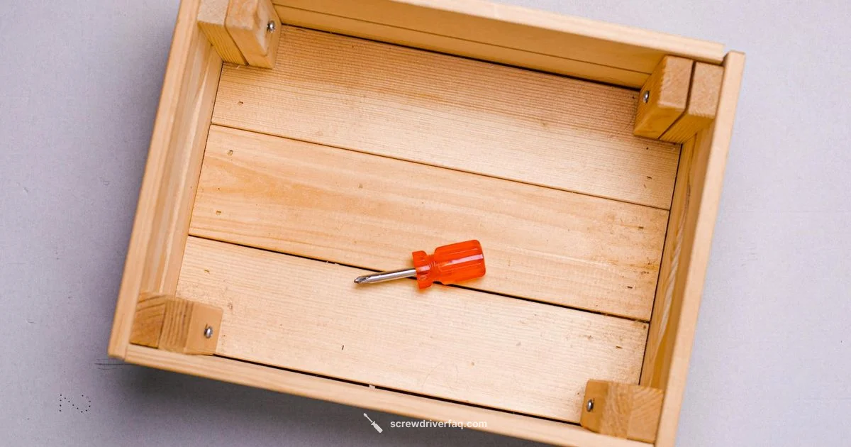 Sonic Screwdriver Guide - Screwdriver FAQ