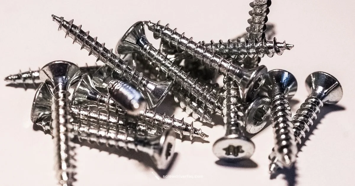 TR8 Torx Guide TR8 Torx Guide - Screwdriver FAQ