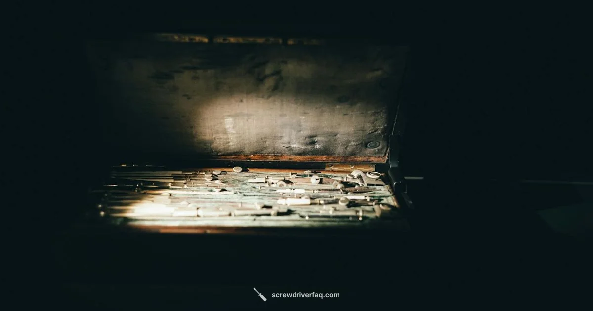 Craftsman 12-Pc Review - Screwdriver FAQ