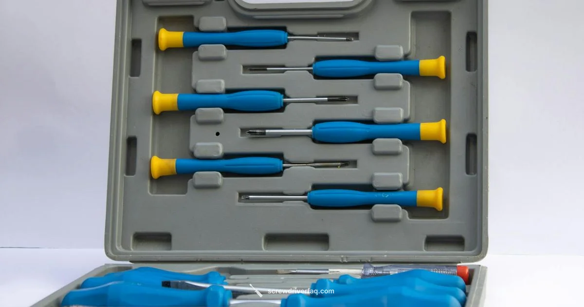 Legal Travel Tips - Screwdriver FAQ