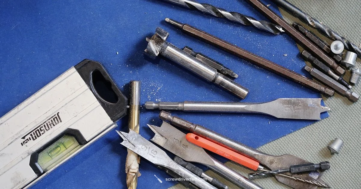 Best Bits 2026 - Screwdriver FAQ