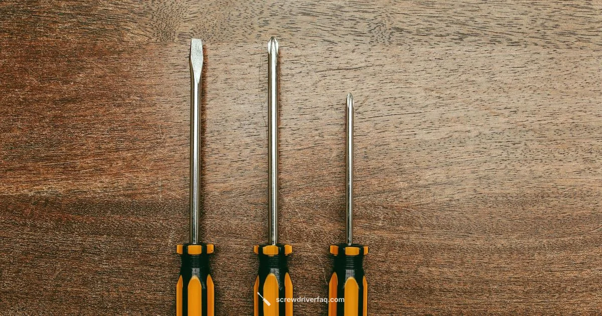 Screwdriver vs Impact Driver - Screwdriver FAQ