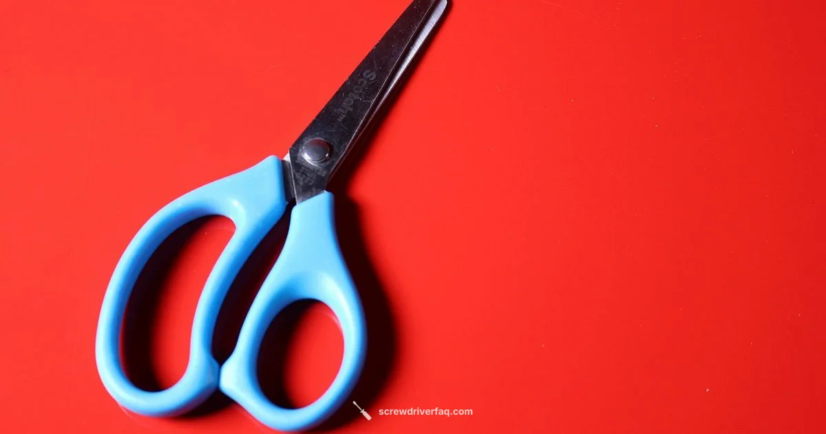 Screwdriver Tool Guide Screwdriver Tool Guide - Screwdriver FAQ