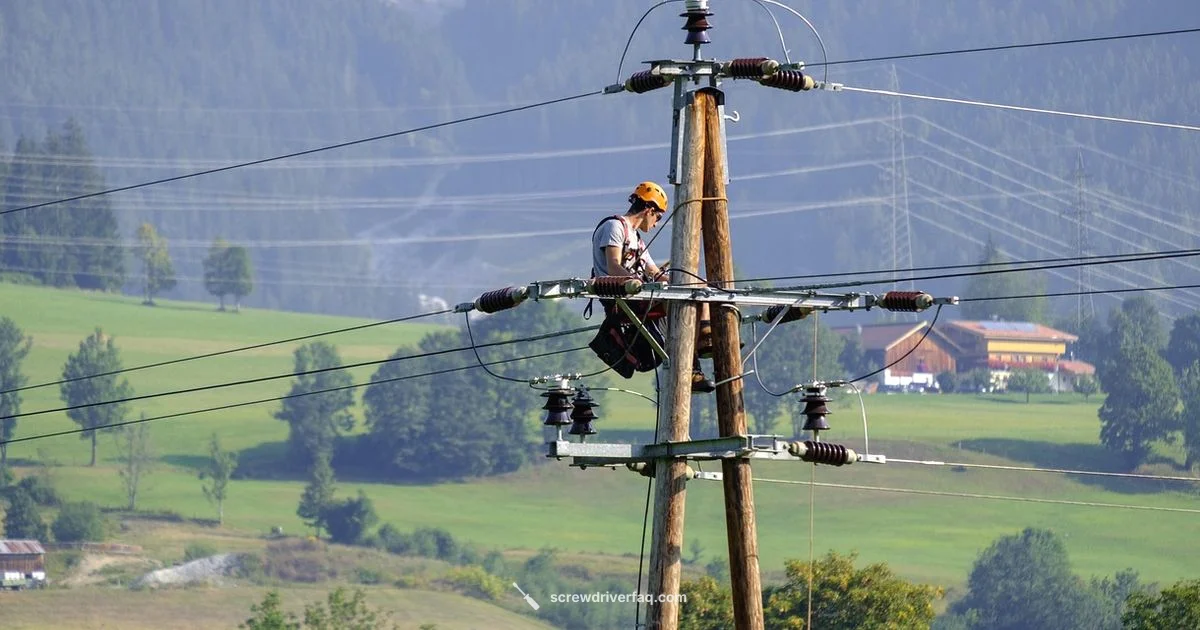 Wera 1000V Review Wera 1000V Review - Screwdriver FAQ