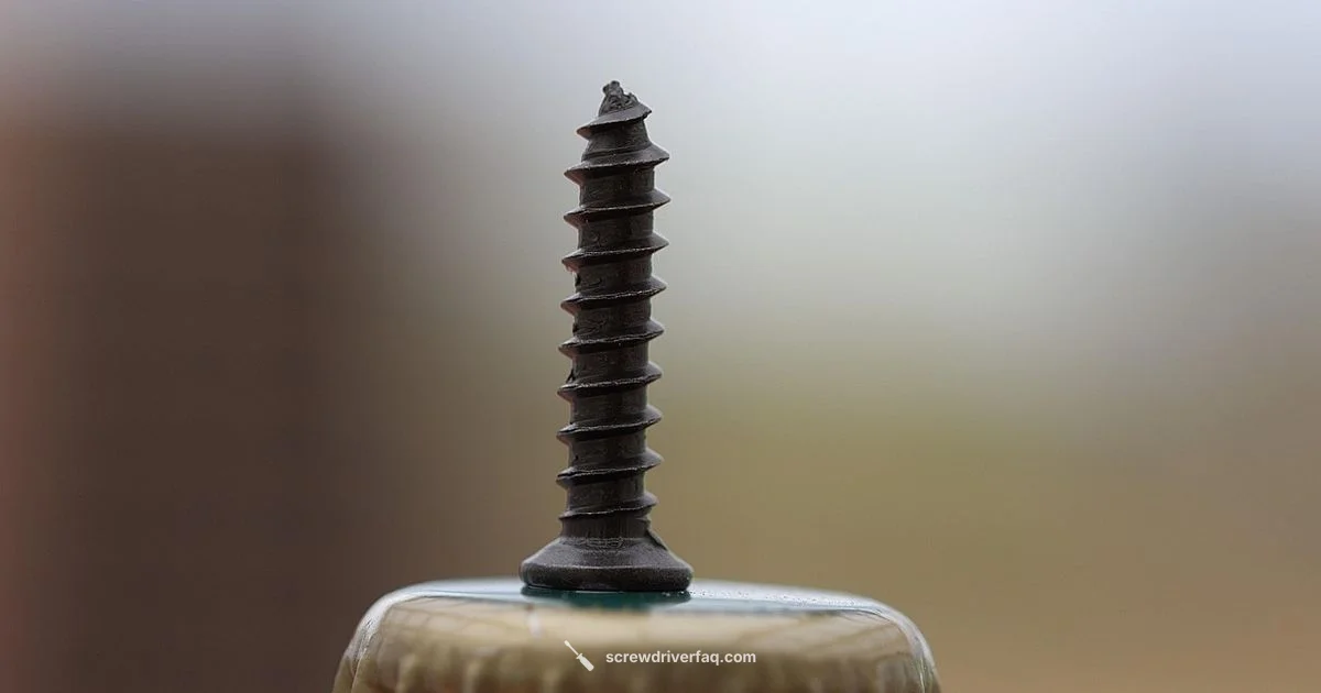 Tamper Torx Screw - Screwdriver FAQ