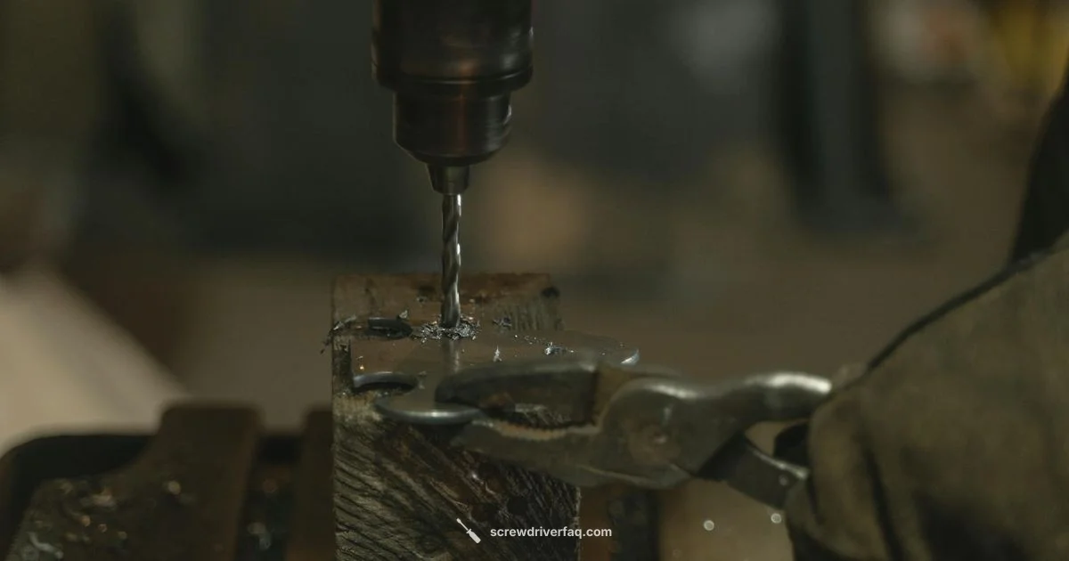 Dewalt Bit Set Guide - Screwdriver FAQ